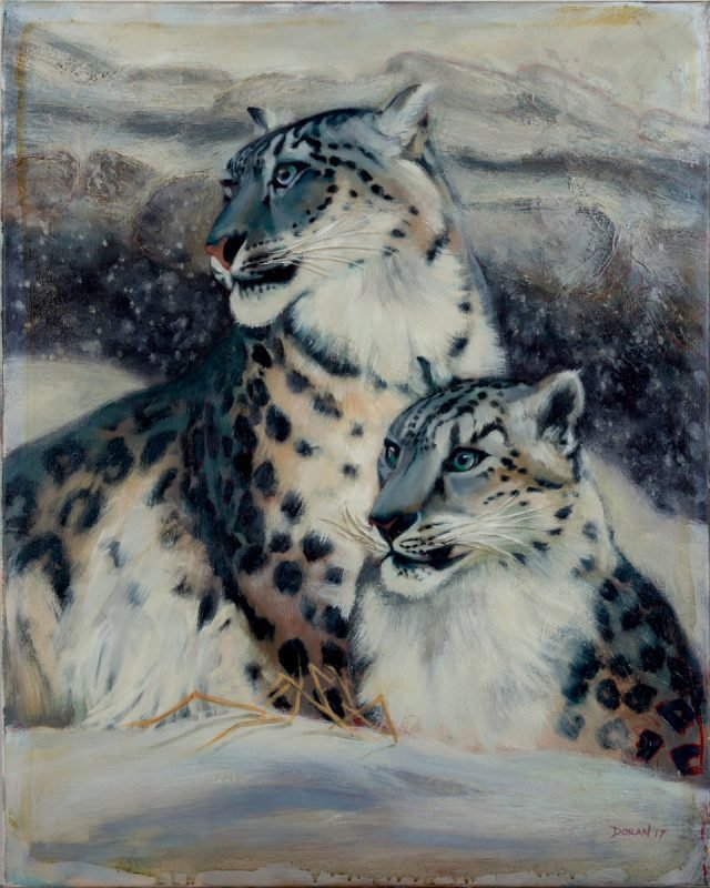 Snow Leopards